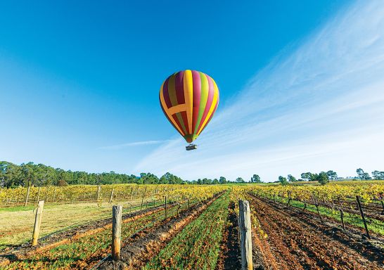 Hot Air Ballooning in the Hunter Valley